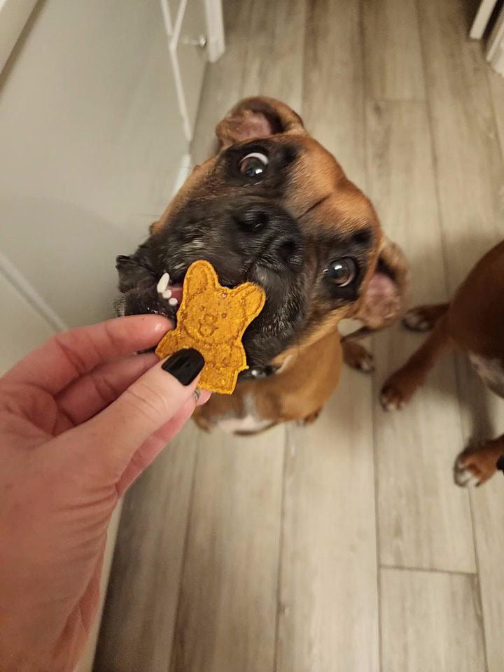 Party Favor: Pup-kin Spice Dog Shapes