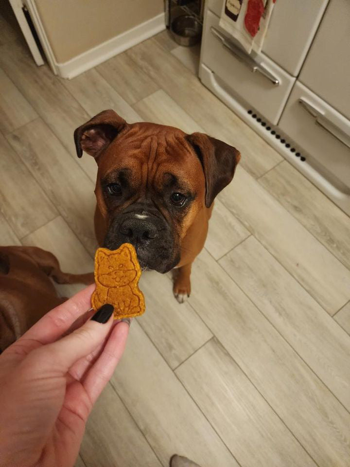 Party Favor: Pup-kin Spice Dog Shapes