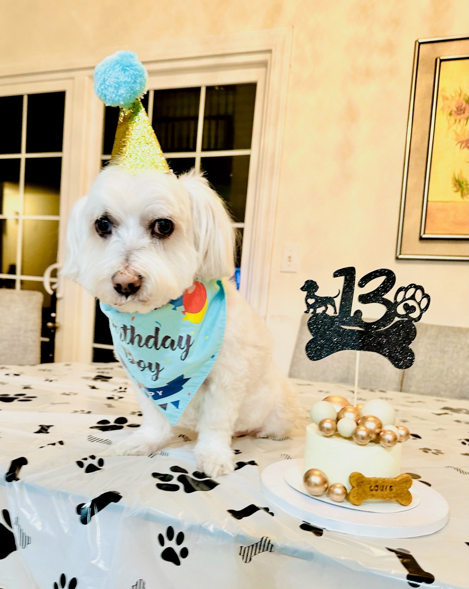 Dog Celebration Cake